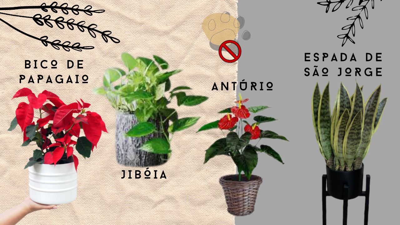 plantas perigosas para pet