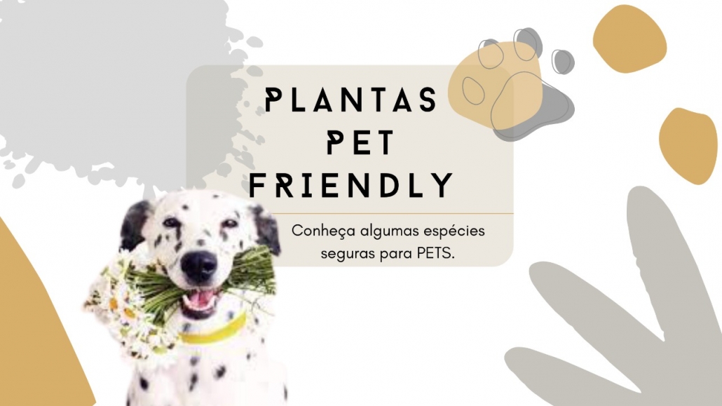 plantas pet friendly